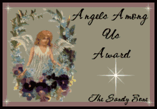 Angels among us Award