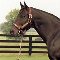 An image of Seattle Slew